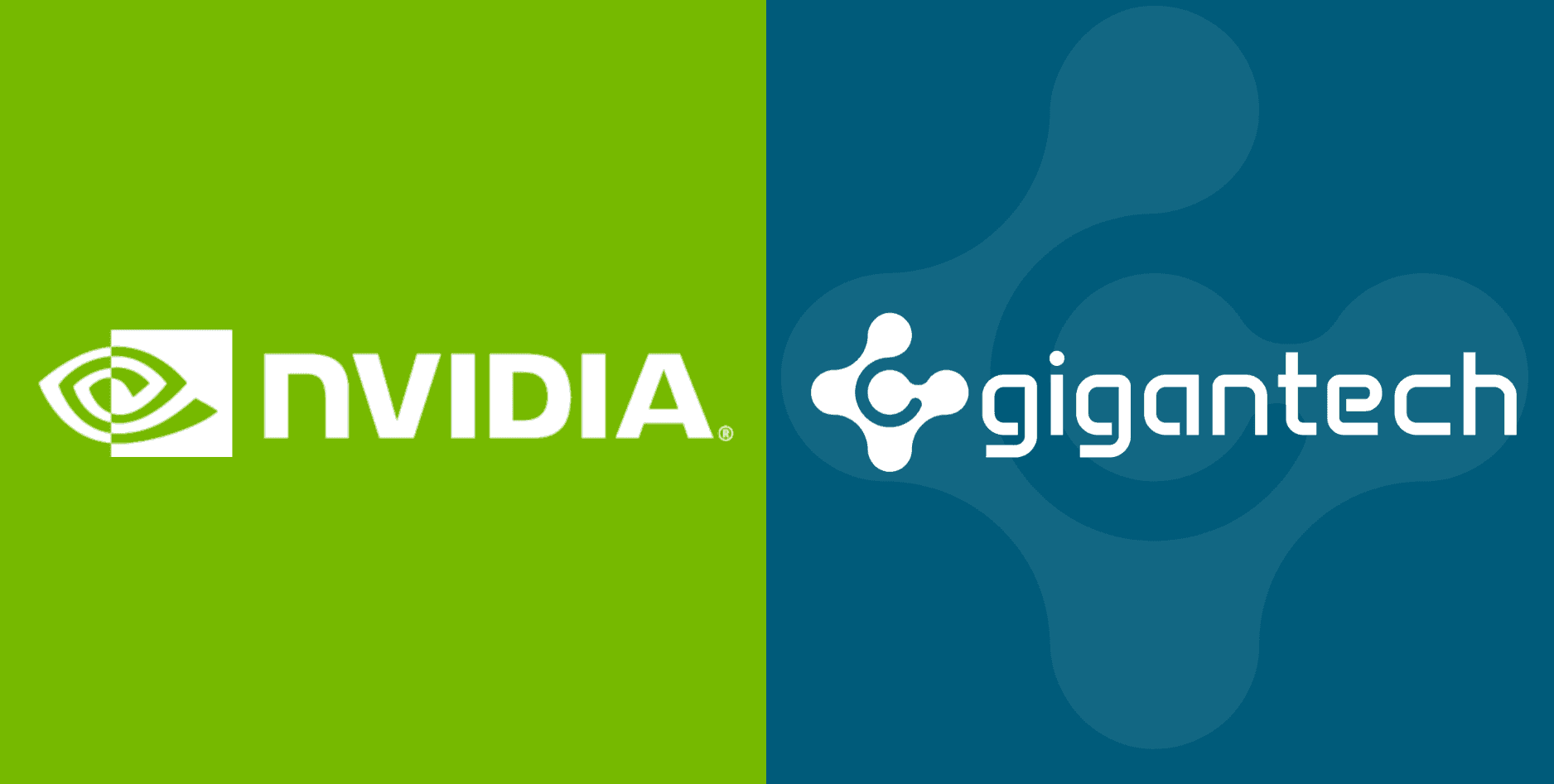 NVIDIA Technology Partnership